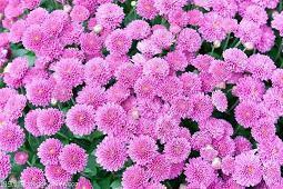 关于喜迎2021的唯美短句