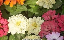 教师对家长失望的句子