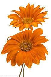 伤感句子句句心痛 简短句子伤感(精选59句)