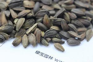 刮台风的微信说说 台风来了好凉快
