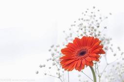 给女朋友生日留言感动