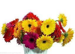 疫情防控正能量话语 绍兴疫情加油