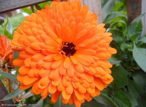 早安心语正能量每日微语合集37句