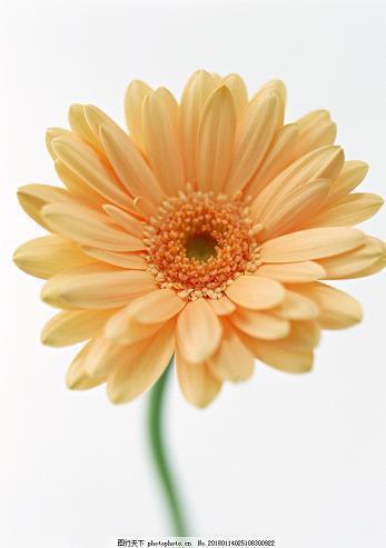 积极向上的句子人生正能量