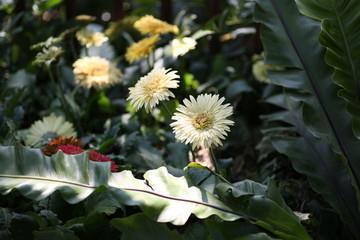 十一月你好正能量的句子 十一月你好的句子2022年