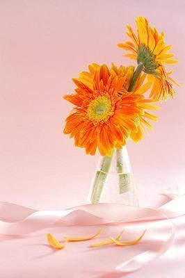 积极上进心情语录