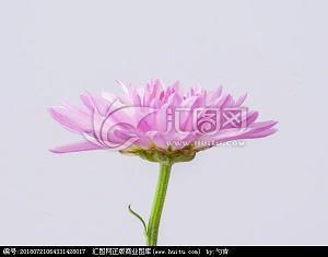 关于讨厌灯红酒绿的说说