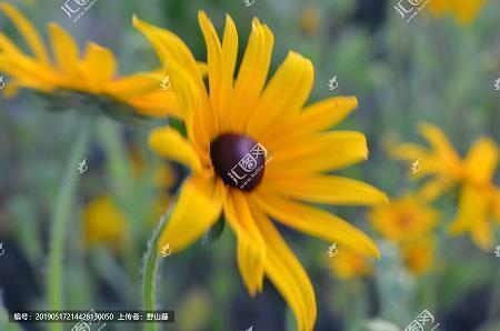 致朋友的经典语句扎心 一秒泪崩的情感句子28句