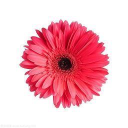 和朋友一起吃喝玩乐很开心的句子 跟朋友在一起很开心的短句