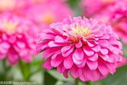 心态好格局大的句子人生感悟精选44句