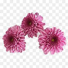 情感短语经典语录 爱情感言经典句子