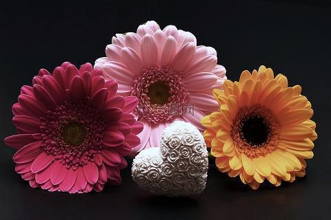 赞美牡丹的经典诗句-唯有牡丹真国色汇编52句