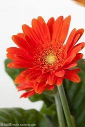 那些能温暖人心的唯美句子