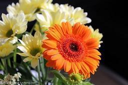 汪国真经典诗文全集精选