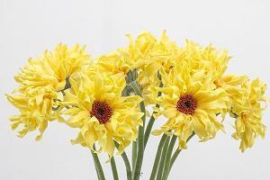 形容见到爱人很开心的短句子