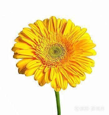 情侣之间简短情话