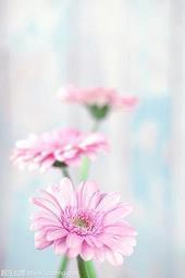 奋斗人生图片 奋斗人生励志的句子(精选17句)