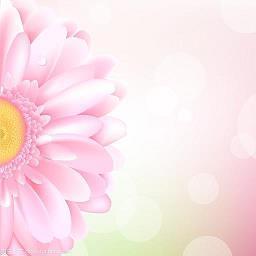 描写爱情的诗句