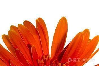 高情商的骂人的话