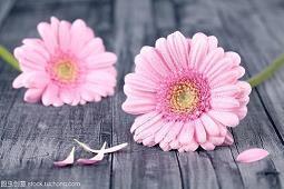 溺爱是害孩子名言警句 关于溺爱的名言