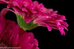 蒙蒙细雨意境的诗句 下雨感慨说说心情