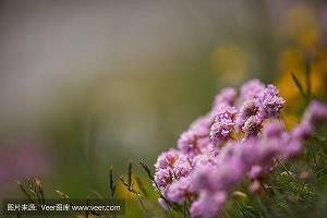 致自己心态好早安短句 朋友圈早安的唯美句子(精选54句)