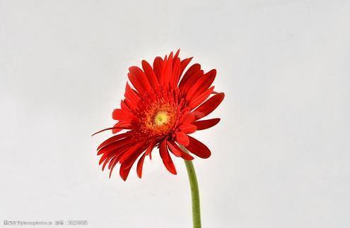 称赞老师的话73句