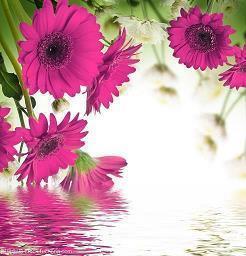 让人幡然醒悟的经典哲理感情句子