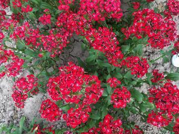 沉默是金的经典句子