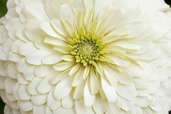 朋友圈说说的好句子简单又有哲理短句合集85句