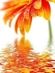 晚安心语正能量一句话 晚安语录正能量简短语句(精选74句)