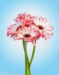 给闺蜜的温柔文案 特别温柔的文案