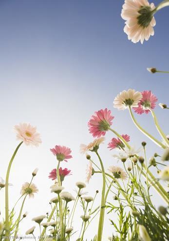 画蛇添足的歇后语是什么 画蛇添足的意思和近义词 画蛇添足的