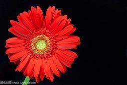 早安最美一句话 一句早上好暖心的话