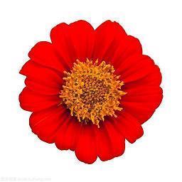 心态好心宽的句子 知足者常足，不知足者无足矣