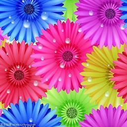 抖音火了的句子80句