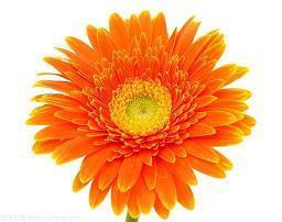 晚安短句正能量短语集锦25句