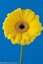 愉快的周末已结束心情说说文案