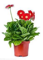 人生磨难与坎坷的句子 坎坷人生的心情句子