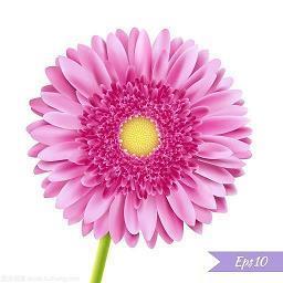 篮球比赛霸气押韵的口号大全汇编30句