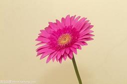 2021儿童节温馨美满的抖音祝福短语文案精选80句