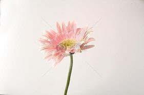 最狂妄霸气又有杀气的诗句关于野心和帝王