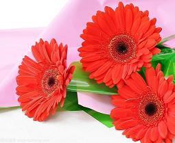 经典的非主流句子67句