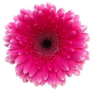 2021中秋节朋友圈文案句子(精选76句)