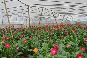 人生伤感哲理的感悟句子