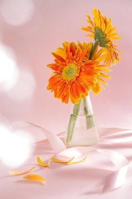 描写春雨的唯美句子短句