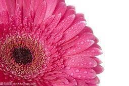 描写九月的句子