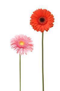 老公不接电话心烦的句子