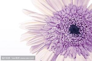 最美早安的句子锦集29句