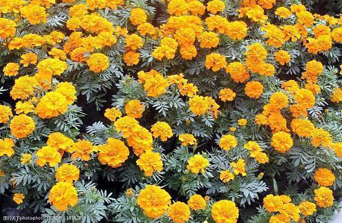 霍金名言语录（中英文对照）